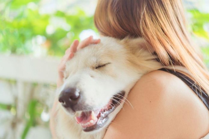 tot-ce-trebuie-sa-stii-despre-ingrijirea-animalelor-de-companie.jpg