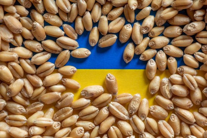 tarile-ue-acord-dur-cereale-ucrainene.jpg